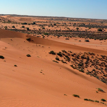 11 Day Out of Africa