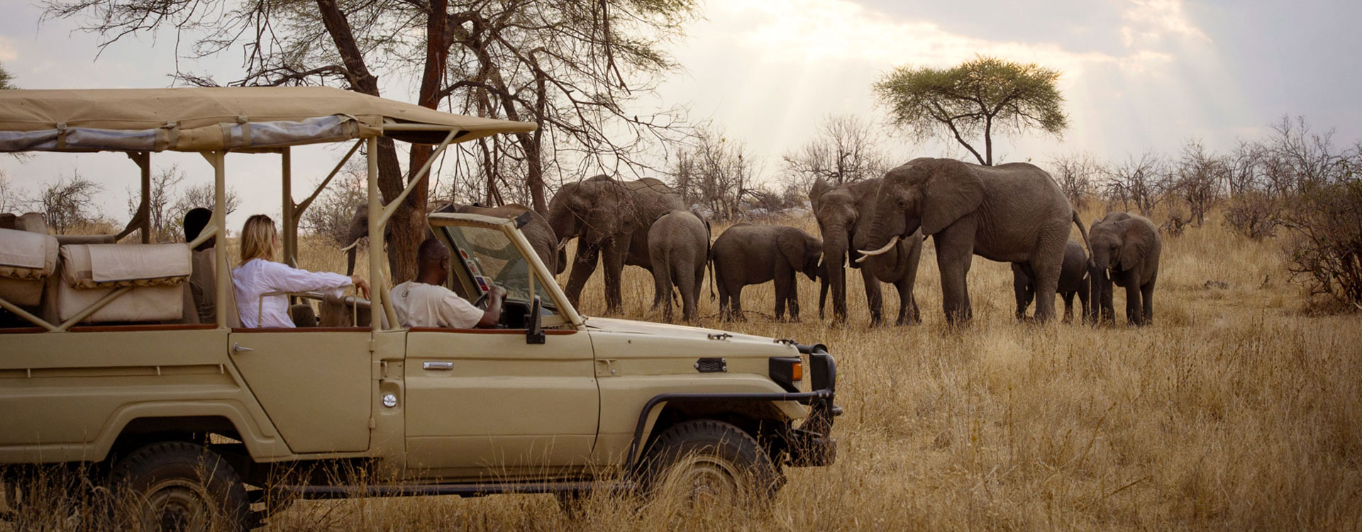 11 Days Wild Tanzania Adventure