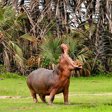 11 Days Wild Tanzania Adventure