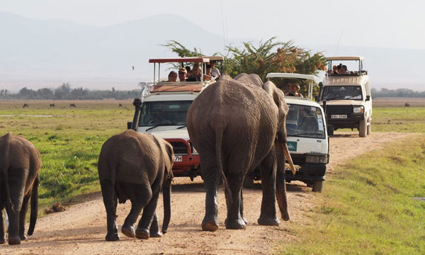 12 Days Budget Botswana Breakaway