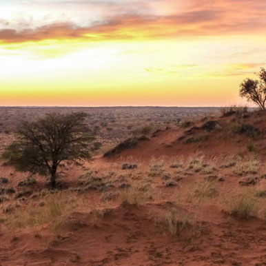 12 Day Exploring Namibia