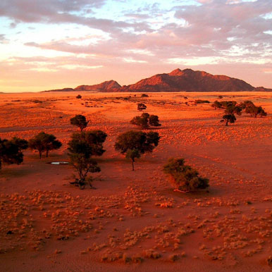 12 Day Exploring Namibia