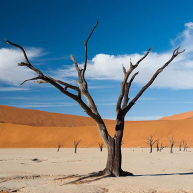 12 Day Exploring Namibia