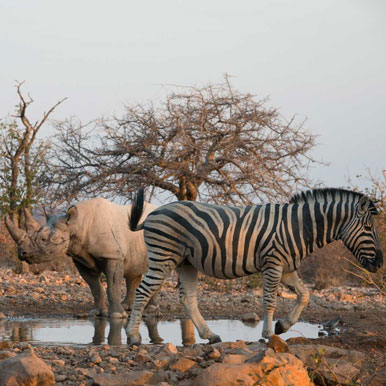 12 Day Exploring Namibia