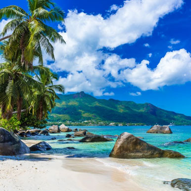 12 Day Family Tour, Kruger and Seychelles