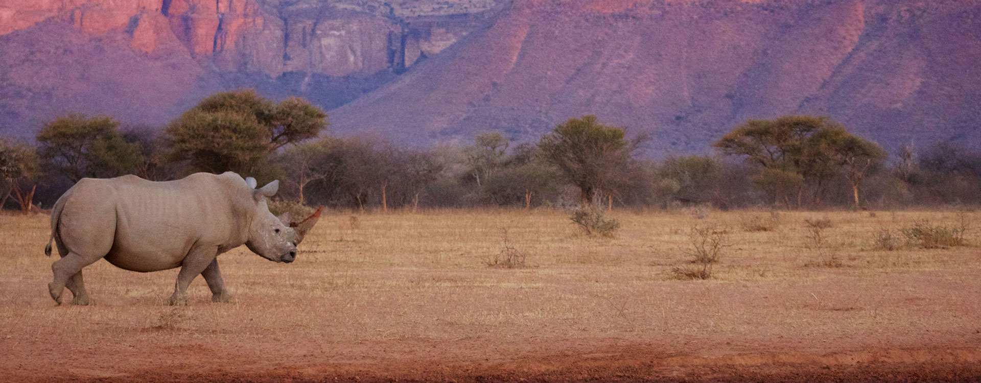 12 Day Highlights of Southern Africa Safari