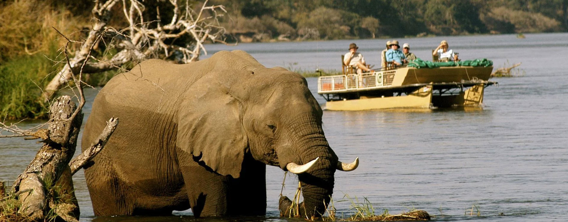 12 Day Lower Zambezi National Park