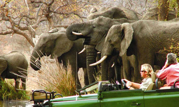12 Day Best of South Africa