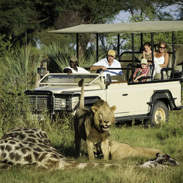 13 Day Sensible Botswana