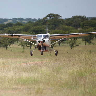 13 Day Sensible Botswana