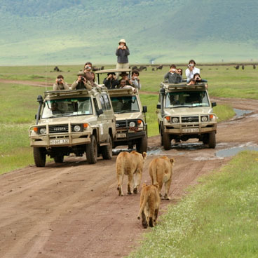 13 Day Sensible Botswana