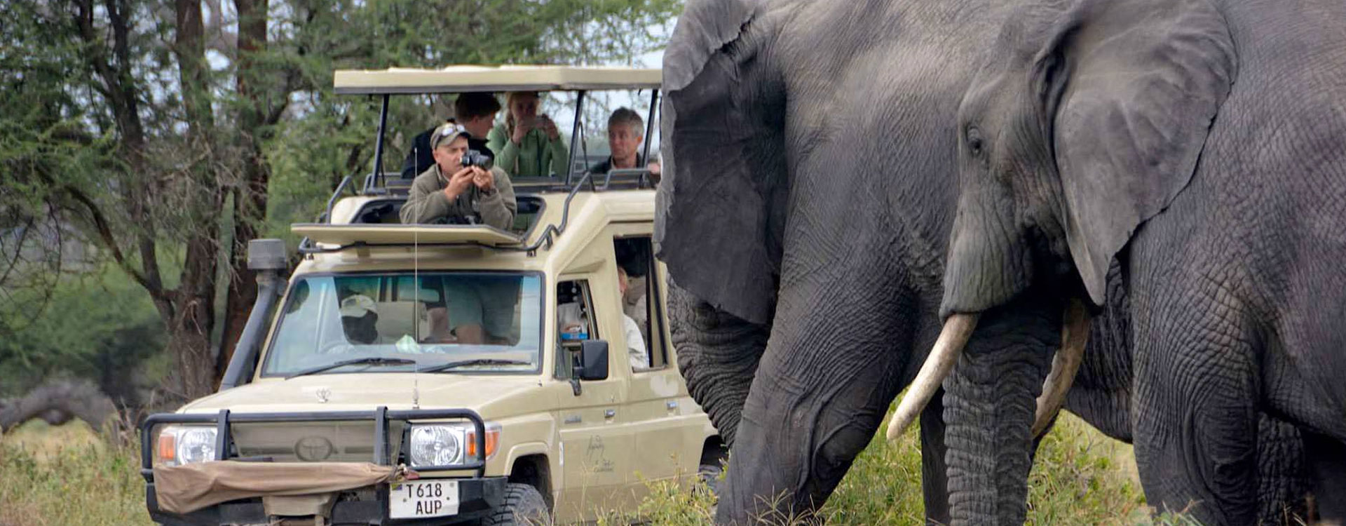 12 Days Sooty Falcon Safaris