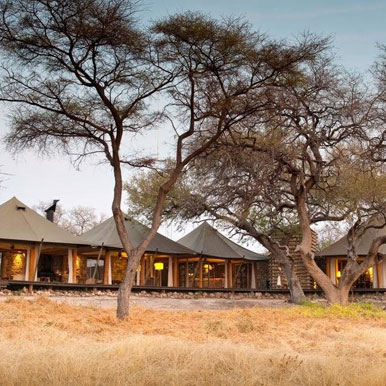 13 Day Best Of Namibia Family Adventure Safari