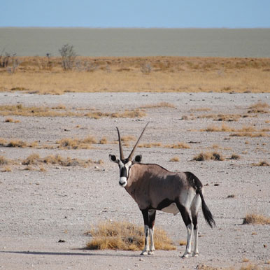 13 Day Exclusive Fully Serviced Namibia
