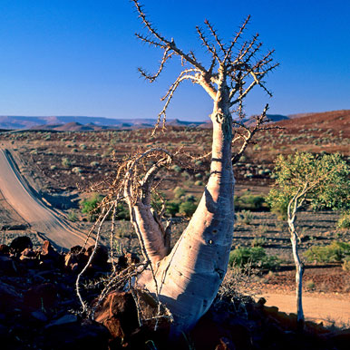 13 Day Exclusive Fully Serviced Namibia