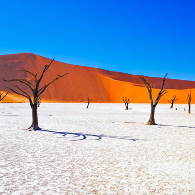13 Day Exclusive Fully Serviced Namibia