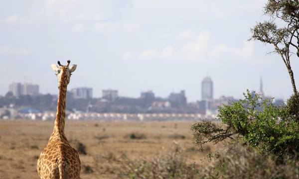 13 Day Exclusive Fully Serviced Namibia