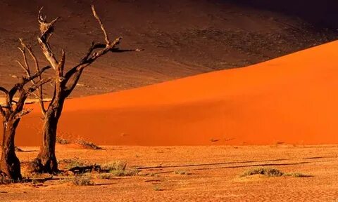 12 Day Great Namibian Journey