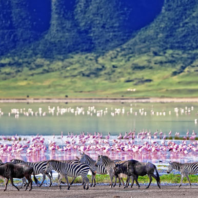 13 Day Honeymoon in Serengeti and Seychelles