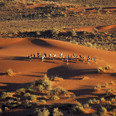 13 Day Romantic and Luxurious Southern Africa