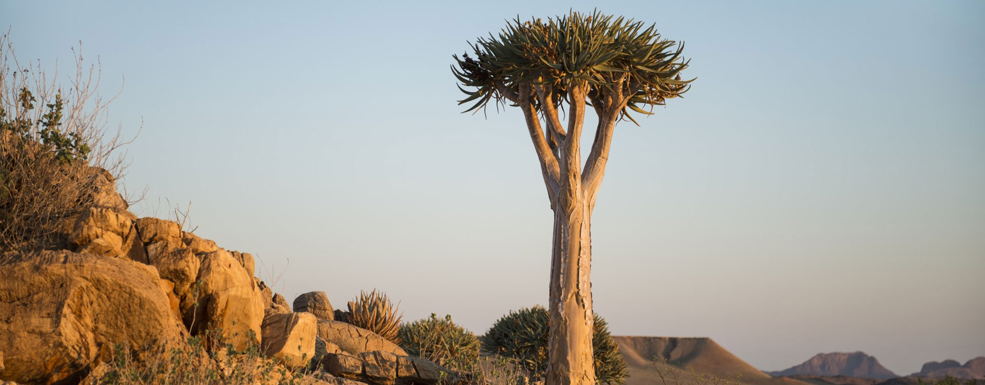 13 Day Namibian Highlights