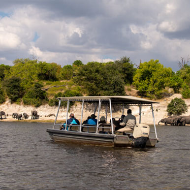 13 Day Safari and Sea