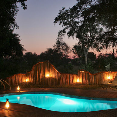 13 Day Safari and Sea
