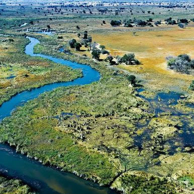 13 Day Safari and Sea