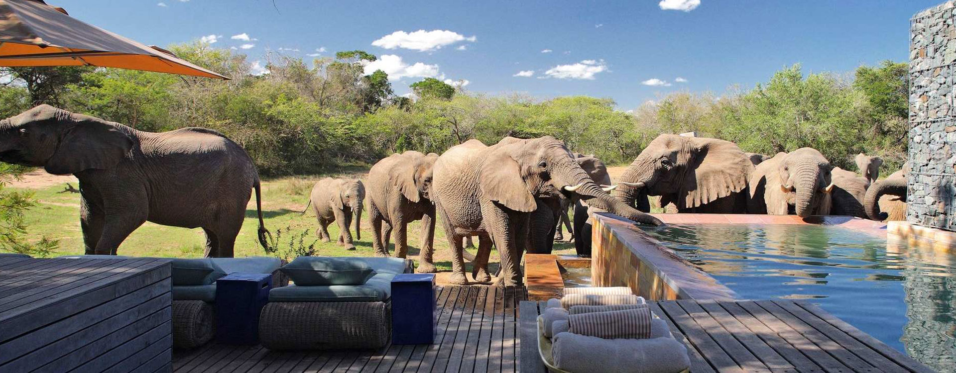 13 Day Sensible Botswana