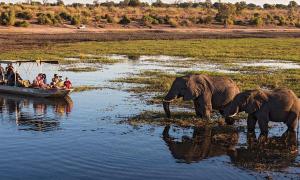 13 Days Sensible Botswana