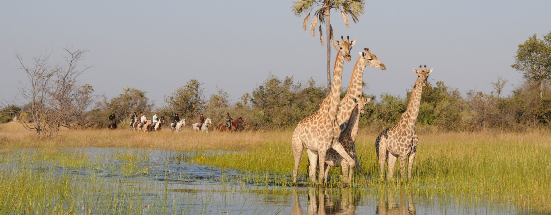 13 Day Classic Africa Safari