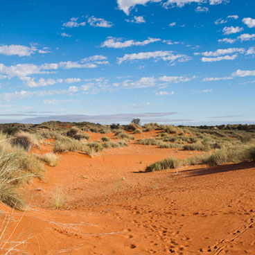 13 Day Classic Africa Safari