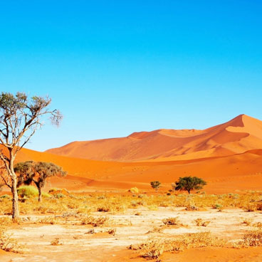 13 Day Classic Africa Safari
