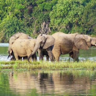 13 Day Classic Africa Safari