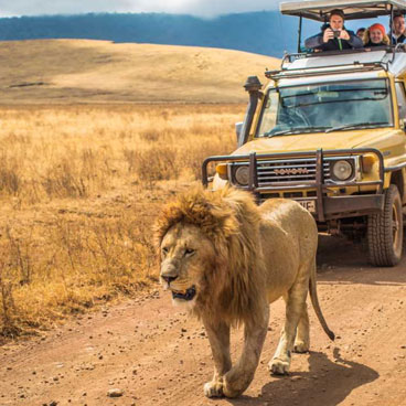 13 Days Maasai Safari Tanzania