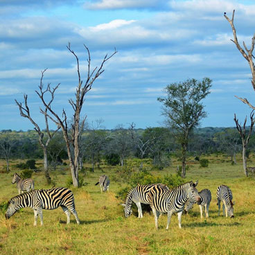 13 Days Mpumalanga and KwaZulu Natal