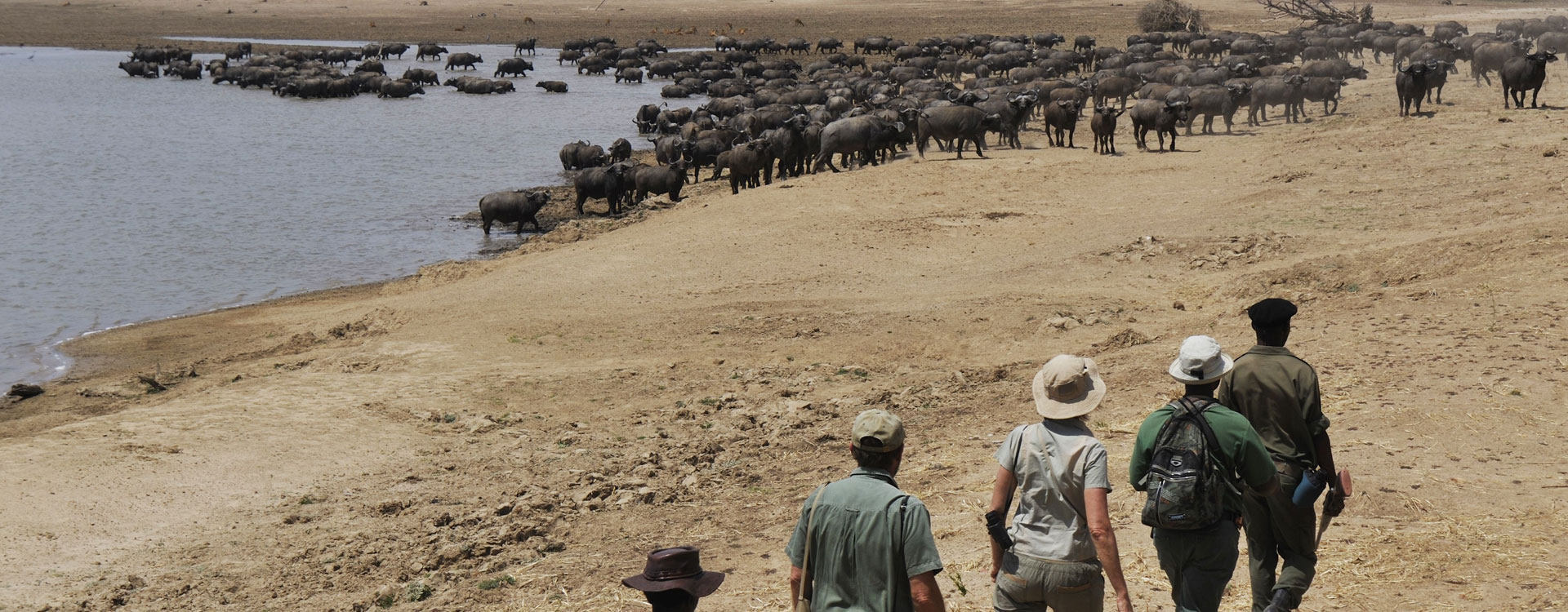 13 Days Best of Victoria Falls, South Luangwa and Lower Zambezi