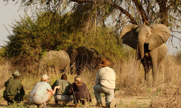 13 Days Best of Victoria Falls