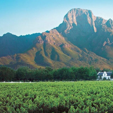 14 Day Cape Town and Rovos Rail Al Inclusive Golf Safari