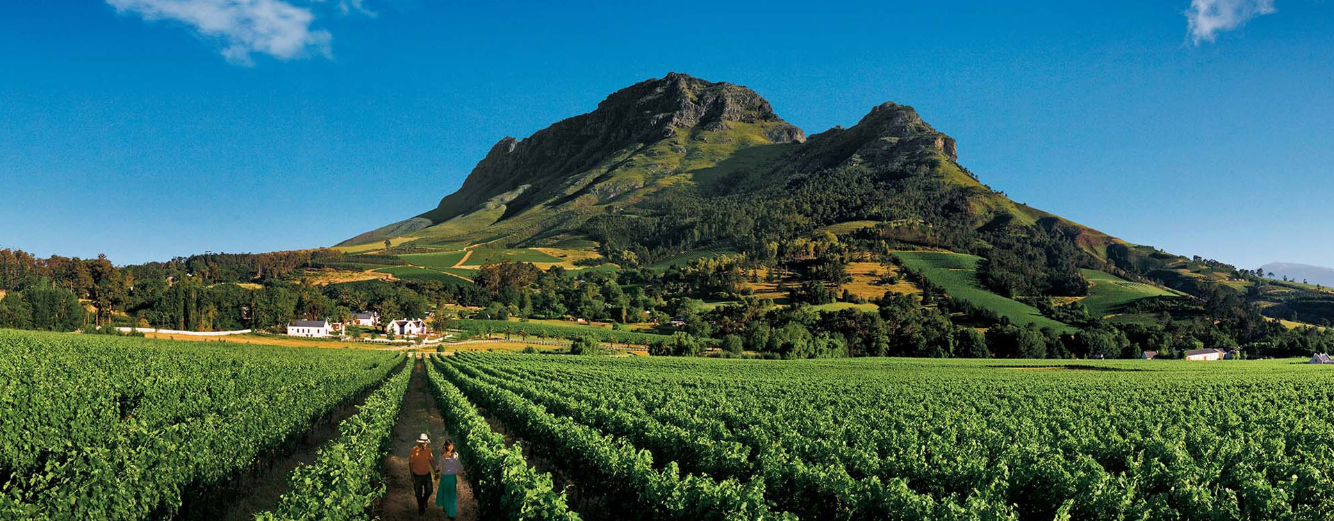 14 Day Self Drive Cape Town, Garden Route and Winelands Golf Holiday