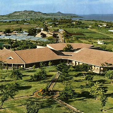 17 Days Bush and Beach Safari
