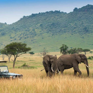 17 Days Bush and Beach Safari