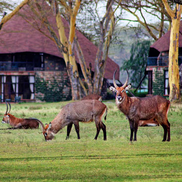 17 Days Bush and Beach Safari