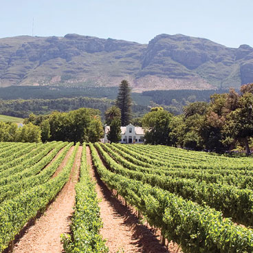 14 Days Grand Tour of South Africa