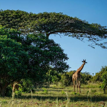 14 Days Grand Tour of South Africa