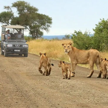14 Days Grand Tour of South Africa