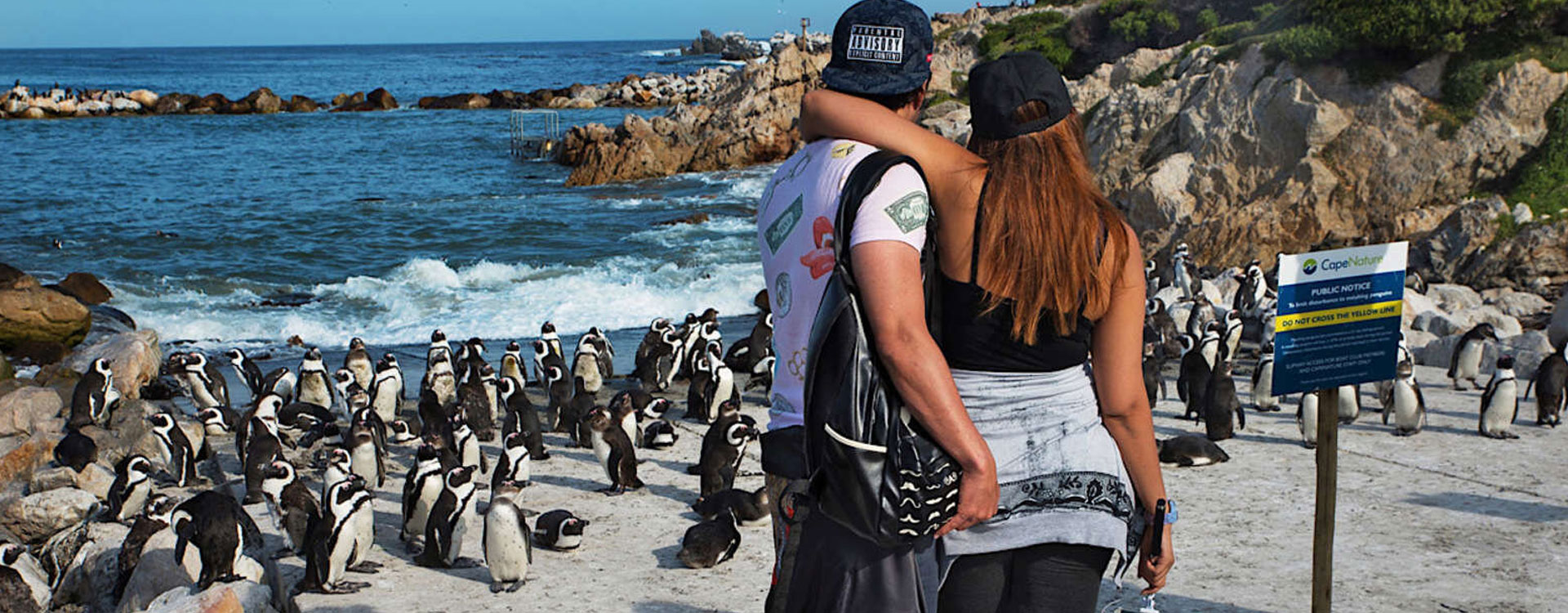 15 Day Hooneymoon Cape Town to Seychelles