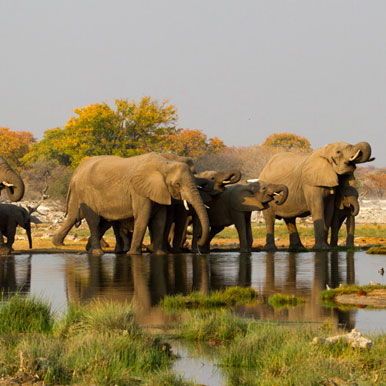 15 Day Namibia Camping Expedition