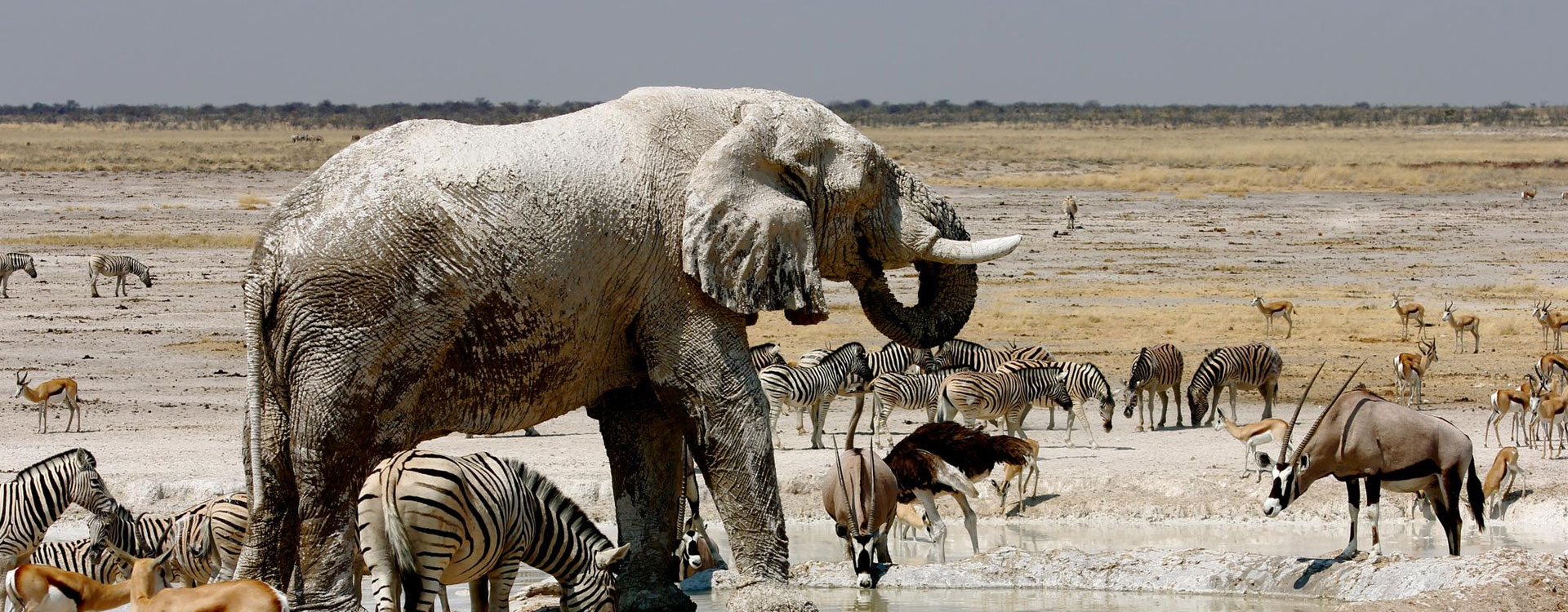 15 Day Namibia Deserts And Wildlife