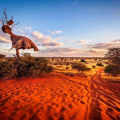 15 Day Namibia Deserts And Wildlife
